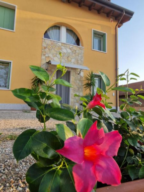 B&B Fiore